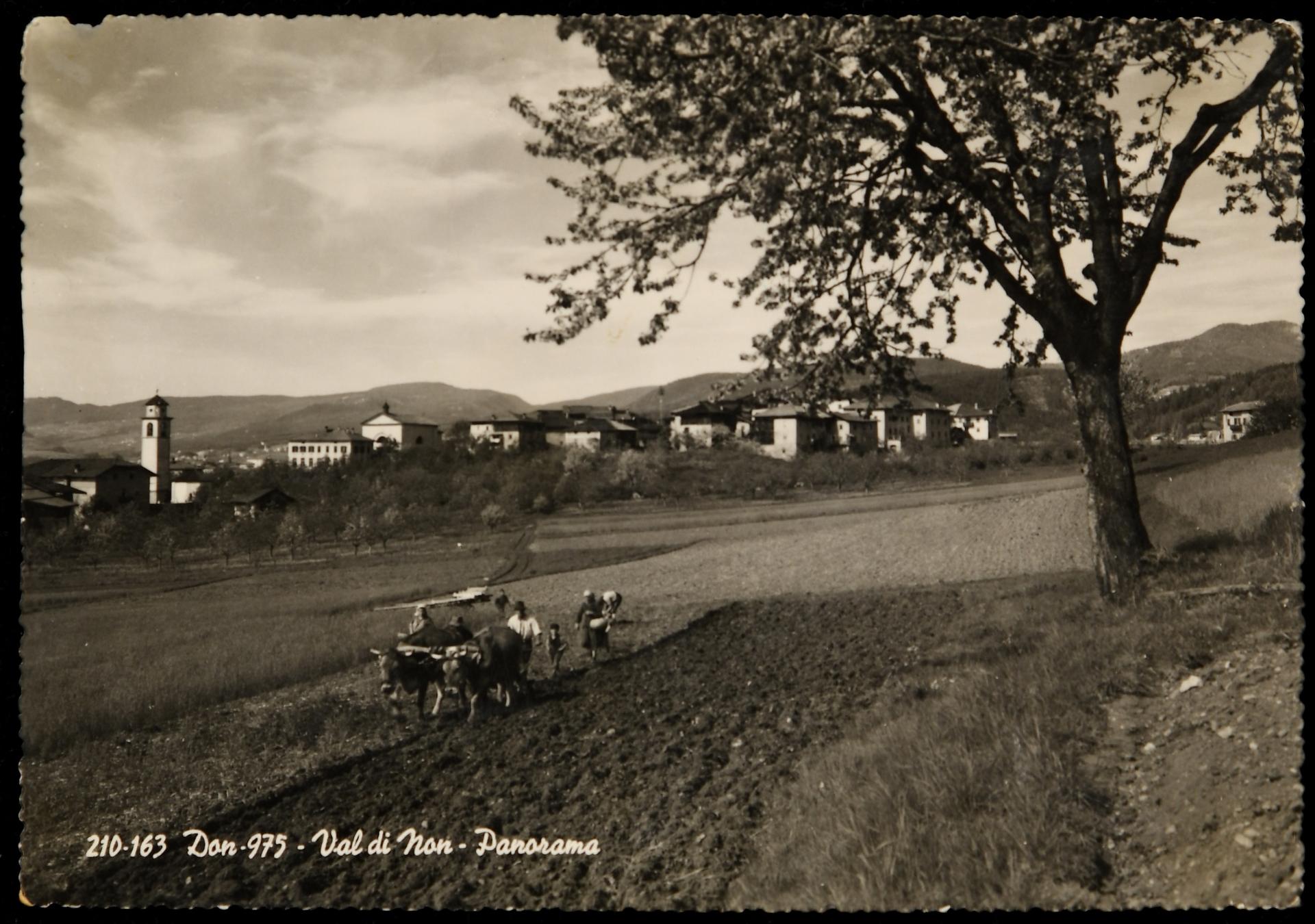 Cartolina_Don_-_Val_di_Non.jpg