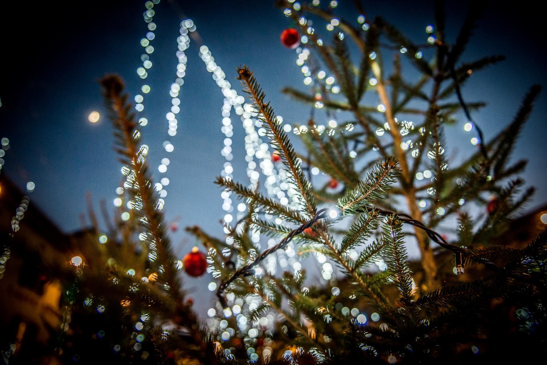 Natale_a_Cles_2.jpg