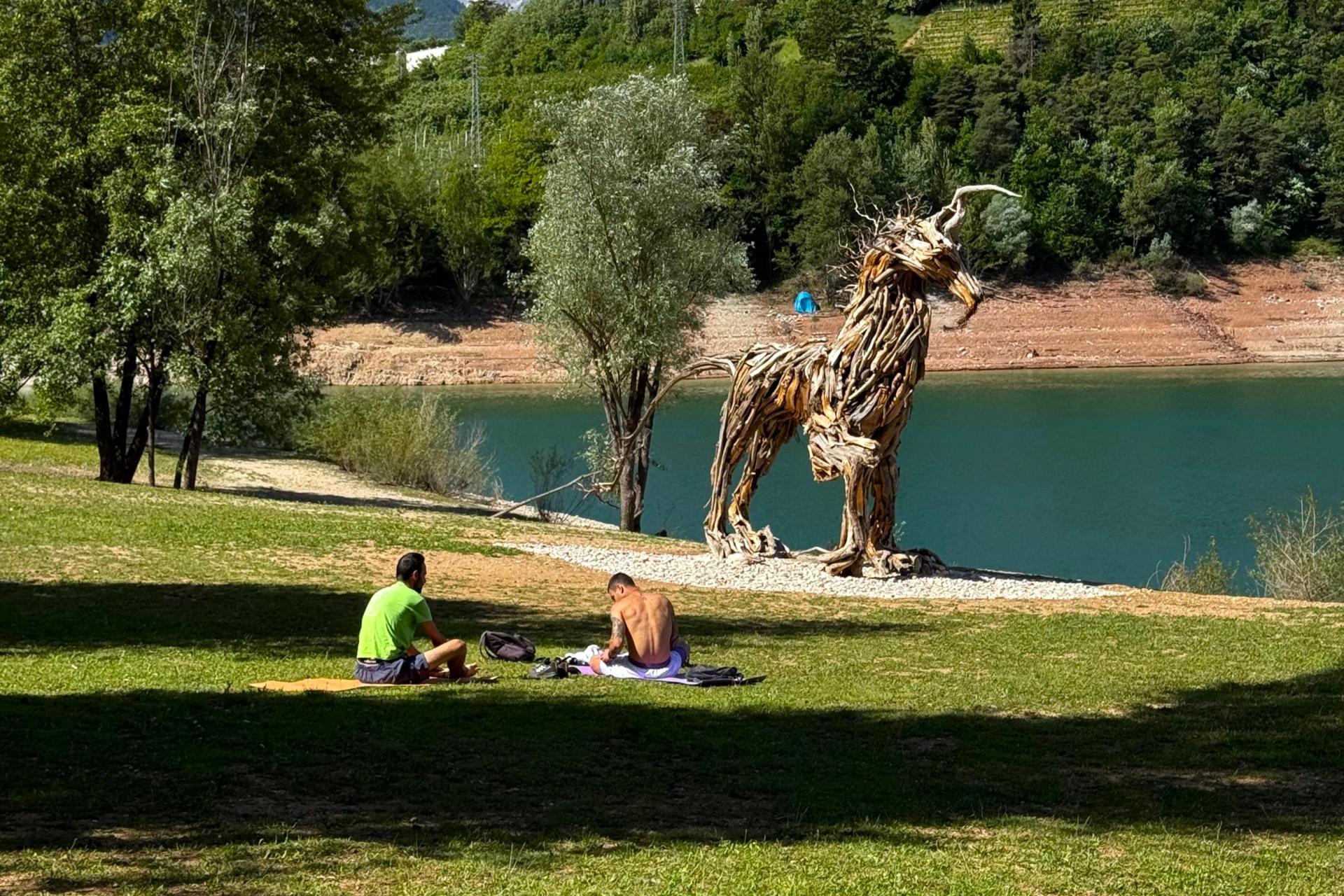 RADICOSAURO_ESTATE_2025.jpg
