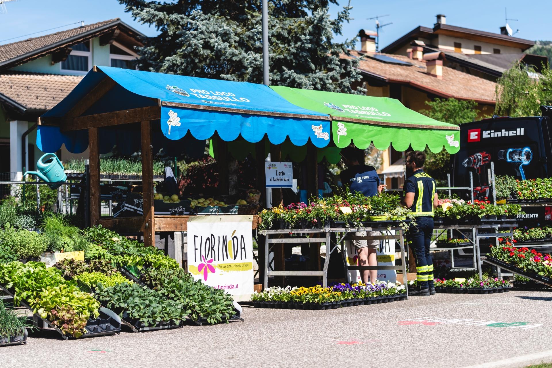 vivaisti_-_fiorinda.jpg